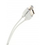 Кабель Telecom USB 2.0 Type-AM - USB 2.0 Type-BM 1.8м