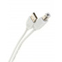 Кабель Telecom USB 2.0 Type-AM - USB 2.0 Type-BM 5м
