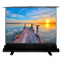  Cactus Экран 113x200см FloorExpert CS-PSFLE-200X113 16:9 напольный рулонный
