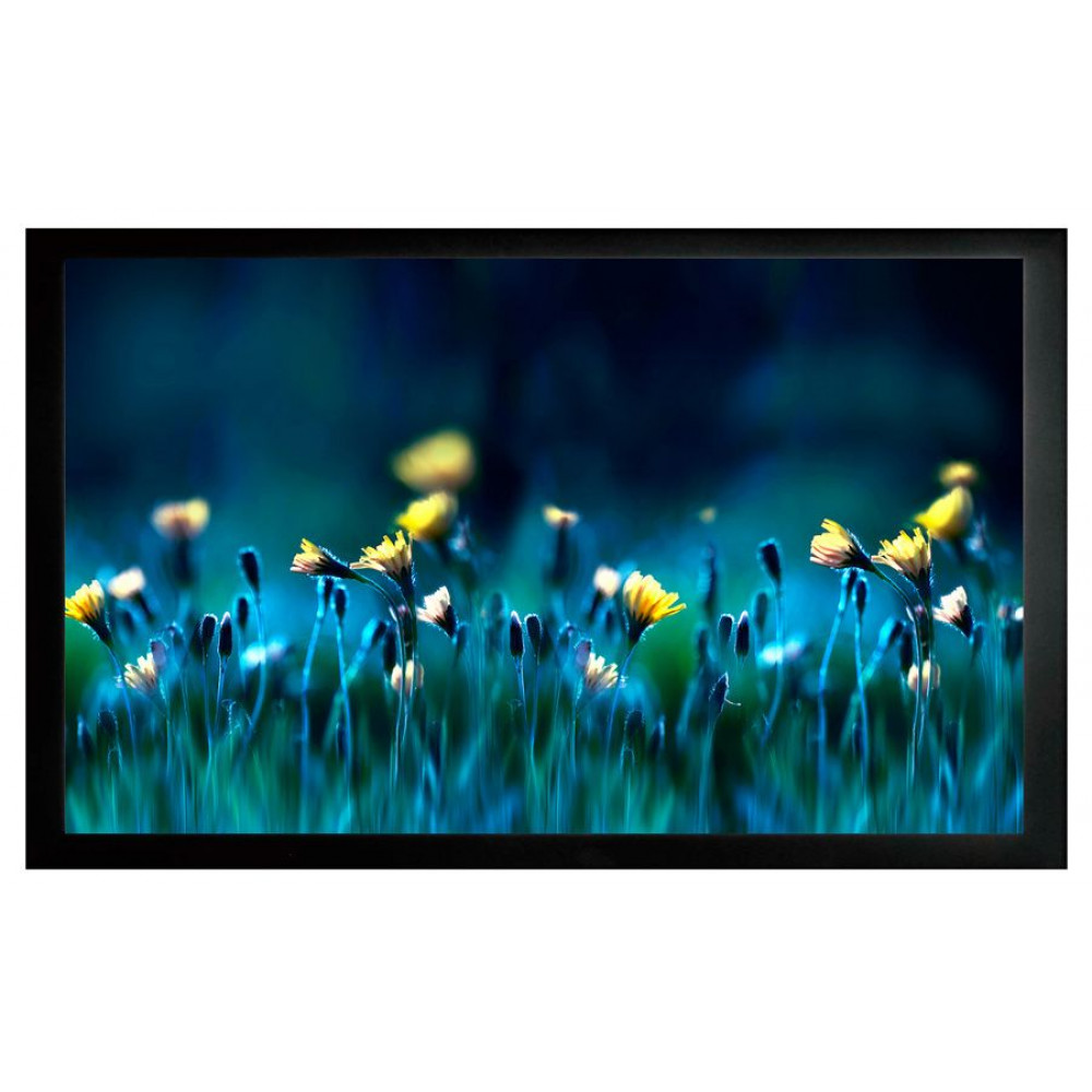  Cactus Экран на раме 113x200см FrameExpert CS-PSFRE-200X113 16:9 настенно-потолочный натяжной
