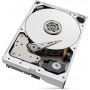 Жесткий диск Seagate SkyHawk AI Surveillance ST8000VE0004