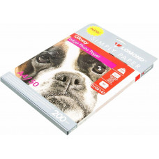 Фотобумага Lomond 0102147