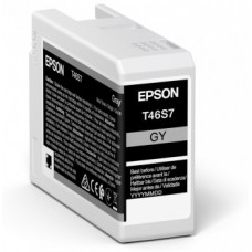 Картридж Epson C13T46S700