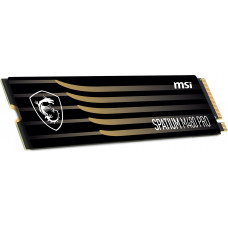 Твердотельный накопитель MSI S78-440L1G0-P83