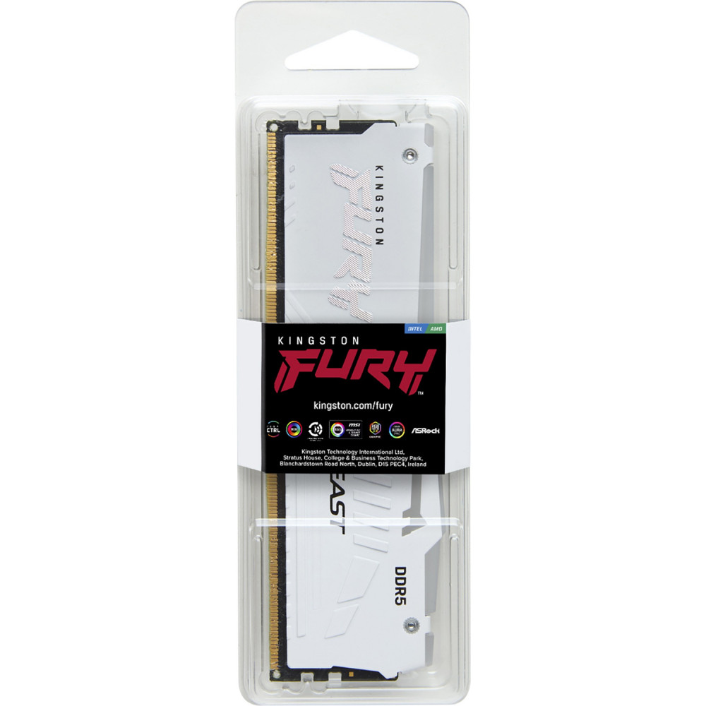 Память оперативная Kingston FURY Beast KF560C30BWEA-32