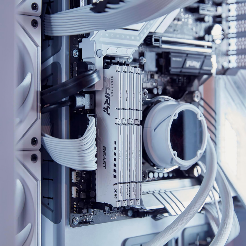 Память оперативная Kingston FURY Beast KF560C36BWEK2-64