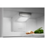 Встраиваемый холодильник ELECTROLUX Electrolux LNS9TE19S