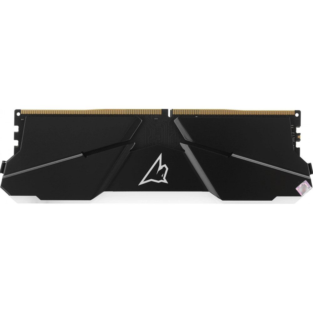 Память DDR4 16Gb 3200MHz Netac NTSRD4P32SP-16E