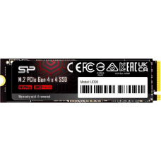 Накопитель SSD Silicon Power SP01KGBP44UD9005