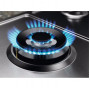 Встраиваемые газовые панели ELECTROLUX Electrolux KGS64362XX