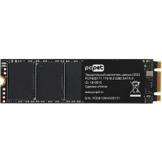 Накопитель SSD PC PET PCPS001T1