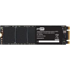 Накопитель SSD PC PET PCPS002T1