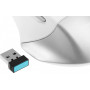 Мышь A4Tech FB35 ICY WHITE