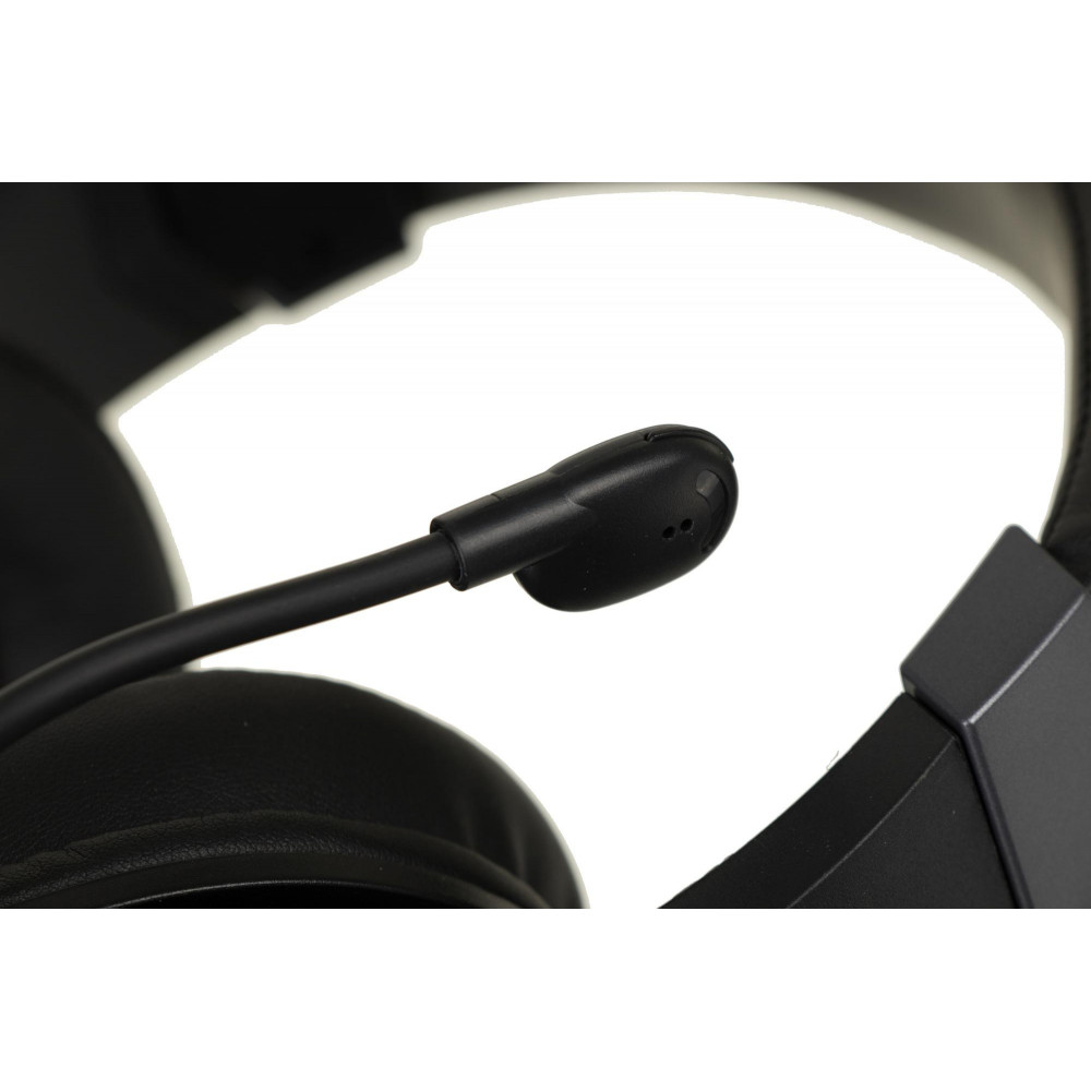Наушники с микрофоном A4Tech G350 USB BLACK