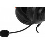 Наушники с микрофоном A4Tech G200 AUX3.5-4PIN +USB