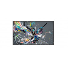 Профессиональная панель 55" Philips 55BDL3511Q/00 Black (IPS, 3840x2160, 9 mc, 178°/178°, 400 cd/m, 500000:1, +DVI)