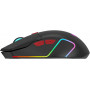 Мышь Acer ZL.MCECC.01Z