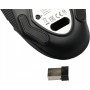 Мышь Acer ZL.MCECC.020