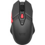 Мышь Acer ZL.MCECC.020