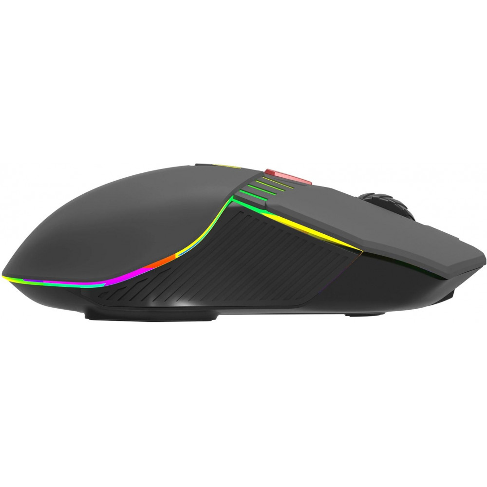 Мышь Acer ZL.MCECC.020