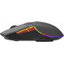 Мышь Acer ZL.MCECC.020