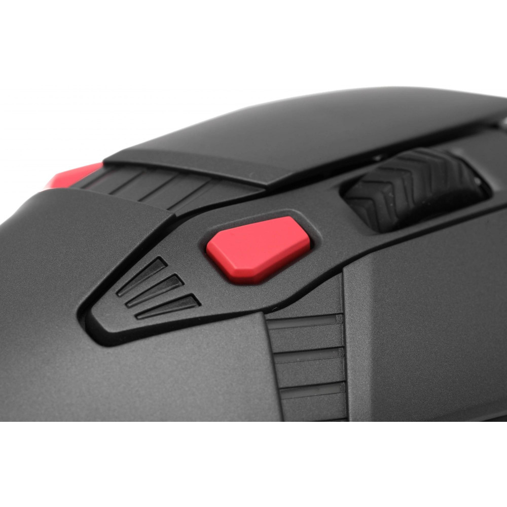 Мышь Acer ZL.MCECC.020