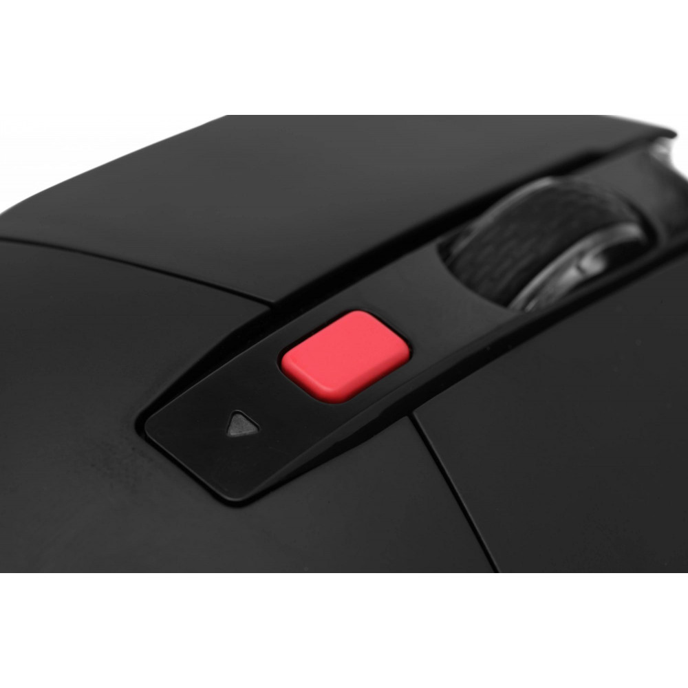 Мышь Acer ZL.MCECC.024