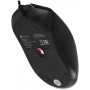 Мышь Oklick 702G черный оптическая 3600dpi USB для ноутбука 4but (1902907) Oklick 1902907