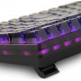 Клавиатура Oklick 915GK механическая черный USB for gamer (1790371) Oklick 1790371