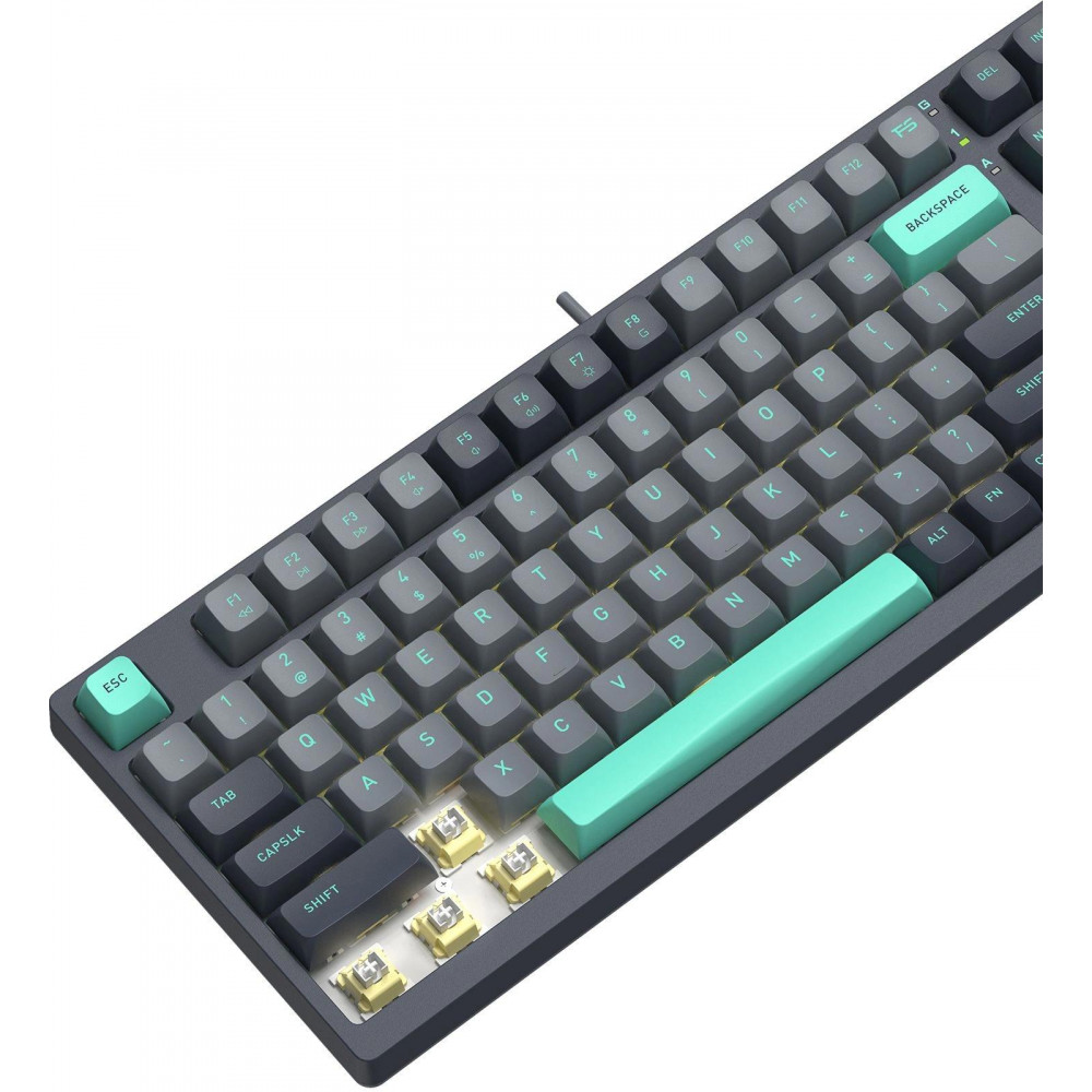 Клавиатура A4Tech FS300 PANDA ROCK