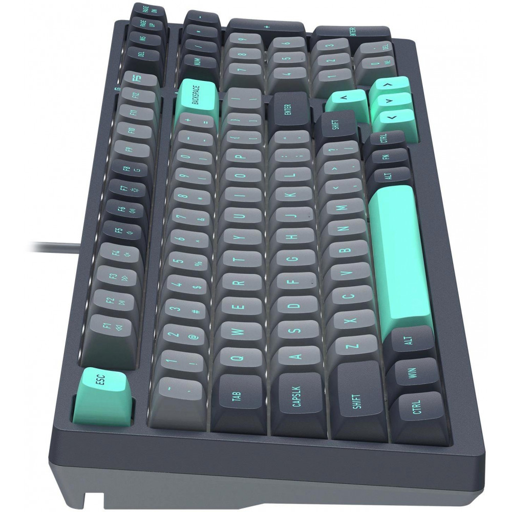 Клавиатура A4Tech FS300 PANDA ROCK
