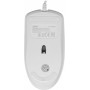 Мышь Acer ZL.MCECC.01V