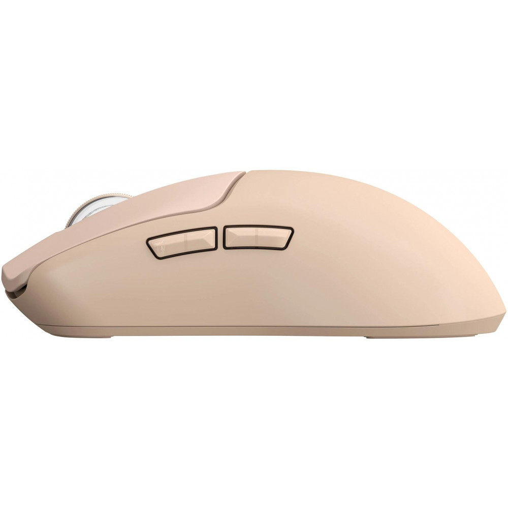 Мышь Acer ZL.MCECC.036