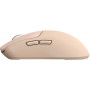 Мышь Acer ZL.MCECC.036
