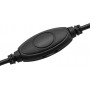Наушники с микрофоном Oklick HS-L315G черный 1.8м накладные USB оголовье (2007552) Oklick 2007552