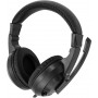 Наушники с микрофоном Oklick HS-L315G черный 1.8м накладные USB оголовье (2007552) Oklick 2007552