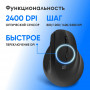 Мышь Oklick 688MW ERGO черный оптическая 2400dpi silent беспров. BTRadio USB (2070320) Oklick 2070320