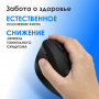 Мышь Oklick 688MW ERGO черный оптическая 2400dpi silent беспров. BTRadio USB (2070320) Oklick 2070320