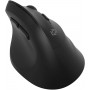 Мышь Oklick 688MW ERGO черный оптическая 2400dpi silent беспров. BTRadio USB (2070320) Oklick 2070320