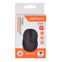 Мышь GoPower Мышь беспроводная GPM03 (00-00030986)