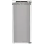 Встраиваемый холодильник Liebherr IRe 4101-22 001