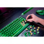 Игровая клавиатура Razer BlackWidow V4 75 - Phantom Green Ed. - US Layout Razer RZ03-05003300-R3M1