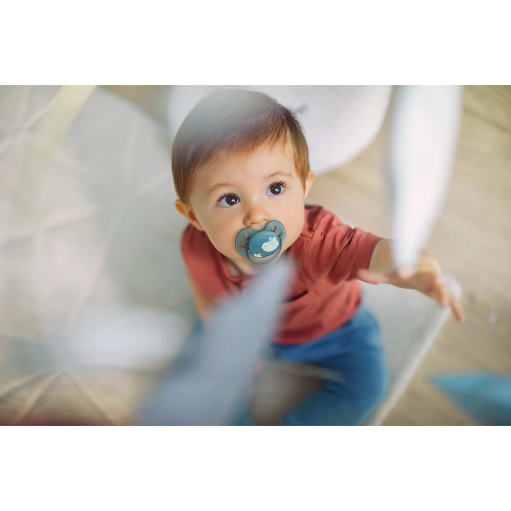 Пустышка ultra soft, птичка, 6-18 мес., 1 шт. Philips AVENT SCF09204