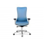 Анатомическое кресло College HLC-2588F/Blue