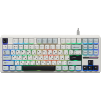 Игровая клавиатура AULA F87 (6978080503800)