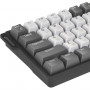 Игровая клавиатура AULA WIN60HE PRO Edition (6978080504111)