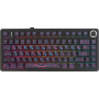 Игровая клавиатура AULA F75 (6978080506412)