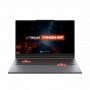 Ноутбук Maibenben Typhoon X17F-R77435 (X17F-R774350G34LG4E10)