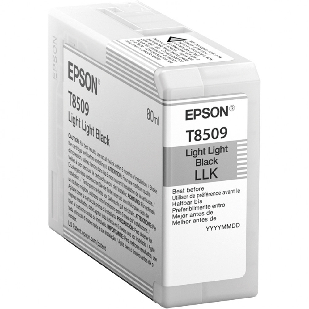 Картридж Epson C13T850900