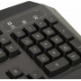 Клавиатура A4Tech Клавиатура A4 Bloody B318 черный USB Multimedia Gamer LED подставка для запястий